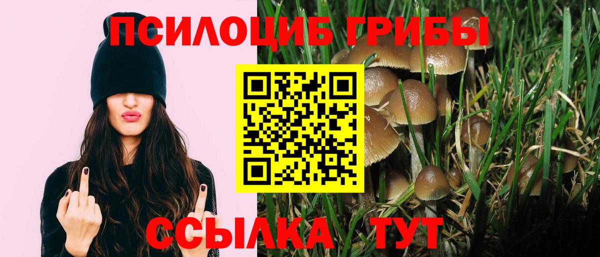 Галлюциногенные грибы MAGIC MUSHROOMS  Вход с VPN  Обь  Псилоцибиновые грибы Psilocybine cubensis 